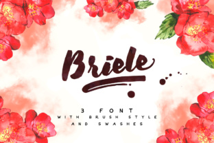 Elevate Editorial Layouts with the Briele Display Font
