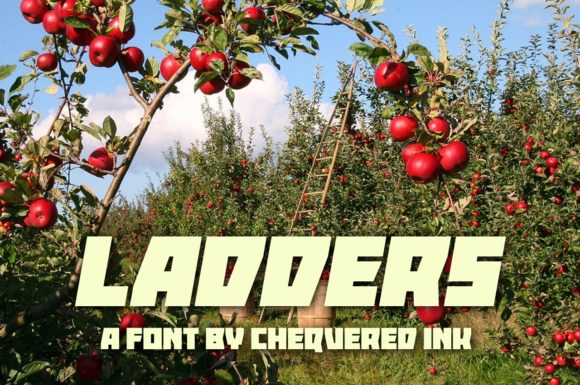 Ladders Font for Business Branding
