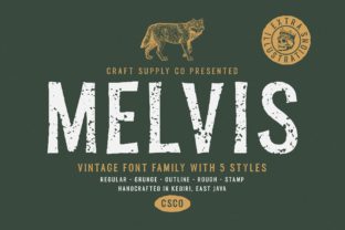Melvis Family: A Vintage Font for Business Branding