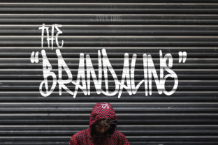 The Brandalins Font for Bold Branding