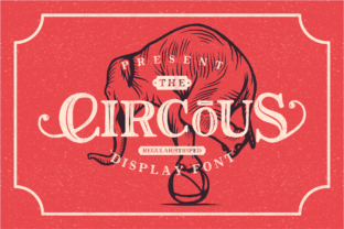 The Circous Font for Bold Branding
