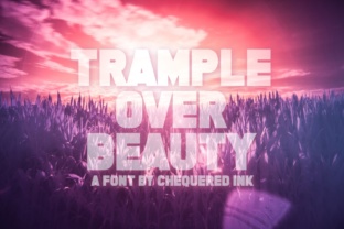 Trample over Beauty: The Display Font for Bold Campaigns